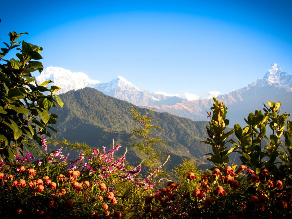 Nepal_Autumn