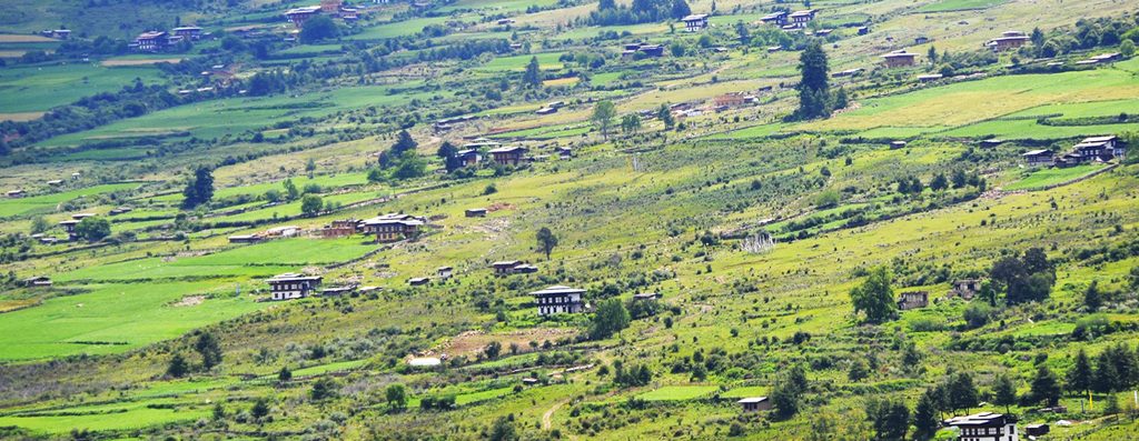 Gangtey Nature Trail