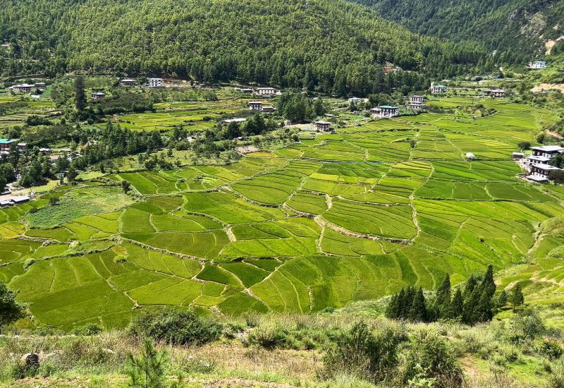 Western Bhutan - a Journey Into the Quiet Side of the Kingdom