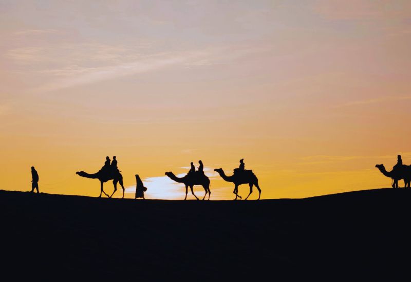 Rajasthan Tour