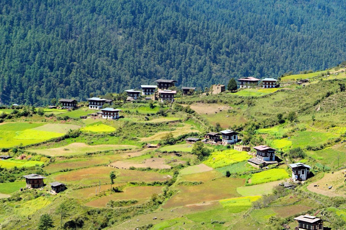 Countryside Hiking in Bhutan