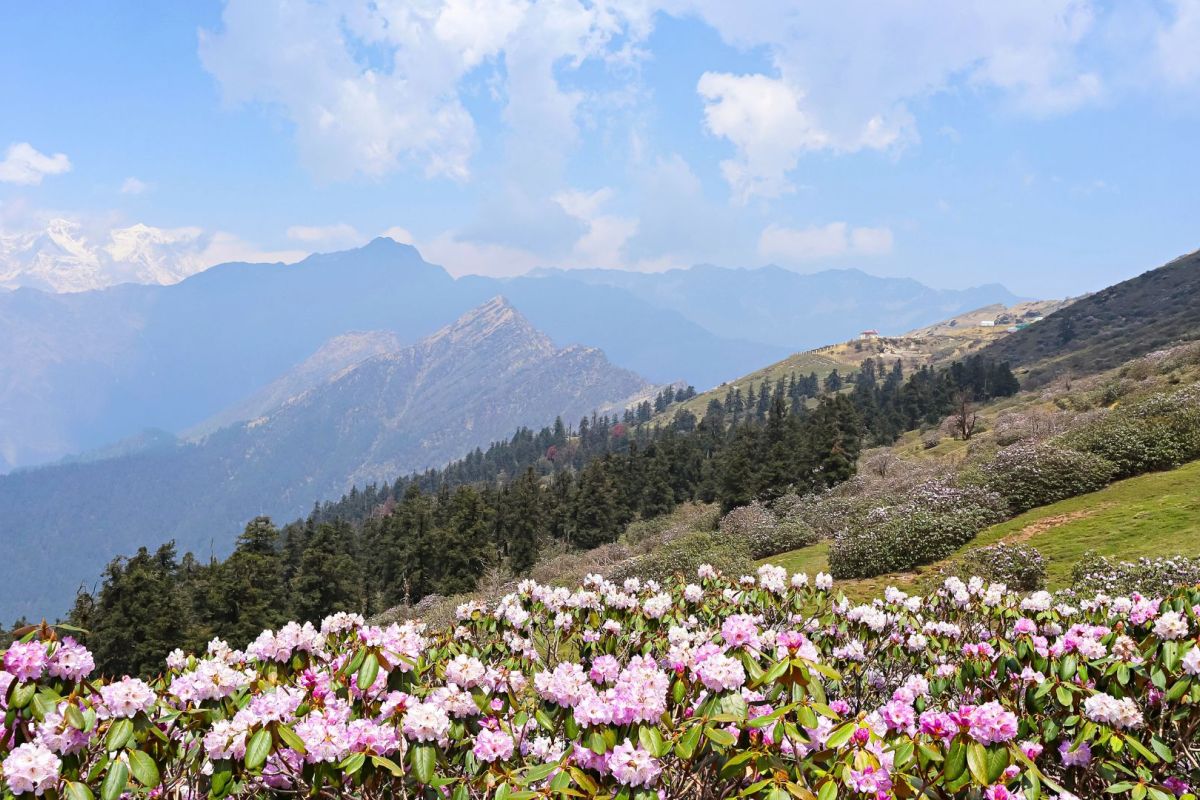 Trekking in Bhutan – The Druk Path