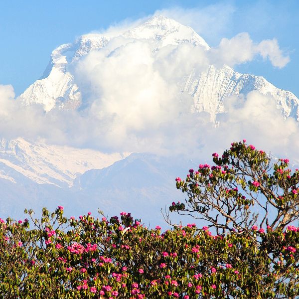 environmental responsibility High Asia Tours